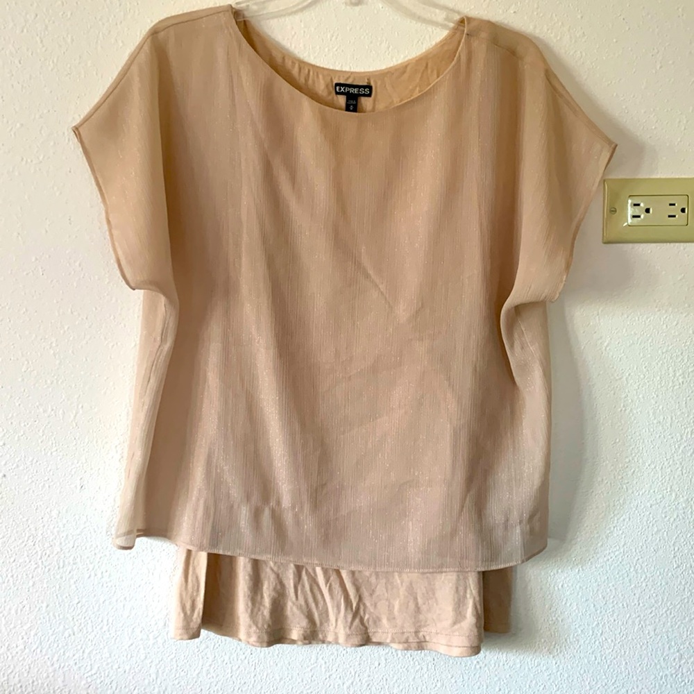 Barely Worn Sheer T Shirt